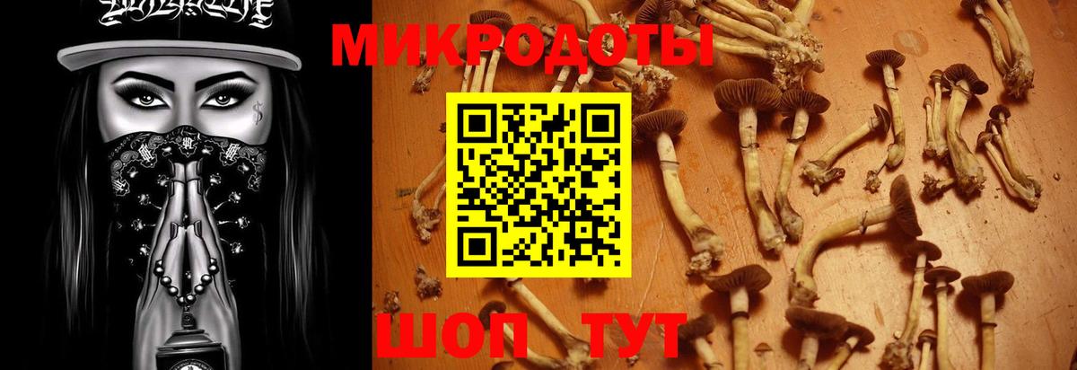 Галлюциногенные грибы Magic Shrooms  Вход с VPN  Артёмовский 